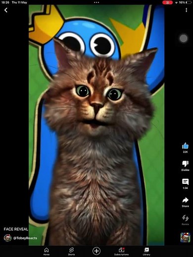 Gravycatman tobeycatman face reveal