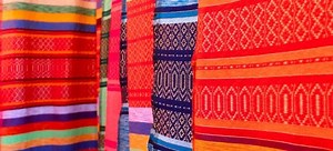 How to Remove Mold from Berber Carpet | DoItYourself.com