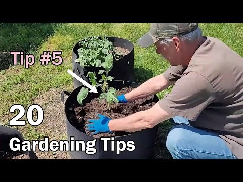 20 Gardening Tips That Any Gardener Can Use - Beginner Or Experienced