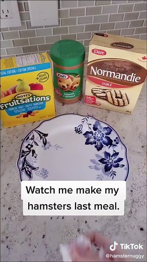 Rip little guy 🕊 #fyp #treats #hamster #rip #pray #heaven