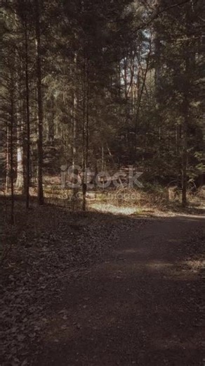 istockphoto 2212015937 640 adpp is 2