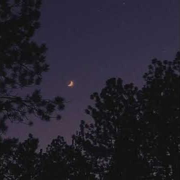 tek it - cafune(acoustic version)