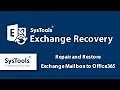 How to Migrate Exchange Mailboxes to Office 365