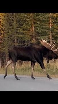 This Alpine Resort is Like No Other