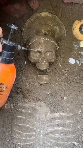 How do scientists collect skeletal fossils? #shorts