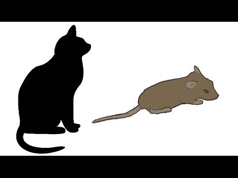 CAT GAMES - MOUSE HUNT (FOR CATS ONLY)