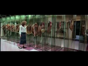 Cell, The [2000] | Split Horse