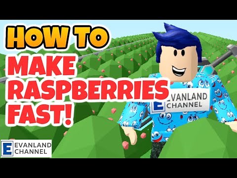 HOW TO GET RASPBERRIES FAST IN ROBLOX ISLANDS MAPLES ISLES UPDATE