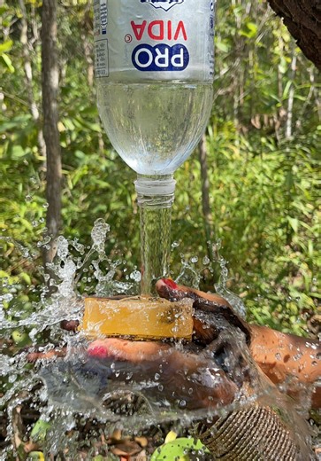 Survival Skills: How to Make 100% Good Soap and Water