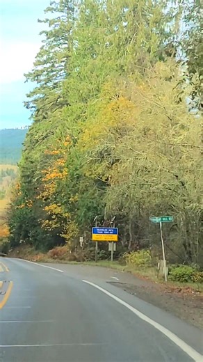 Ob-La-Di, Ob-La-Da, Driving to Sequim, Washington today for a round of golf at Seven Cedars Dungeness Golf Club. Highway 20 from Port Townsend and the yellow Maple leaves are still popping | Good Dad Bad Man