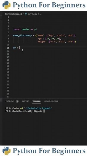 How To Install And Use The Pandas Library | Python For Beginners