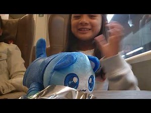 Collection (aphmau cats)plushy Collection (day 1)