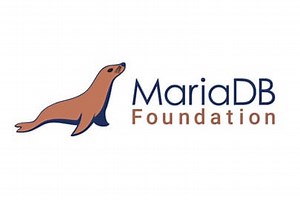 How to Install MariaDB on Raspberry Pi? (MySQL Server)