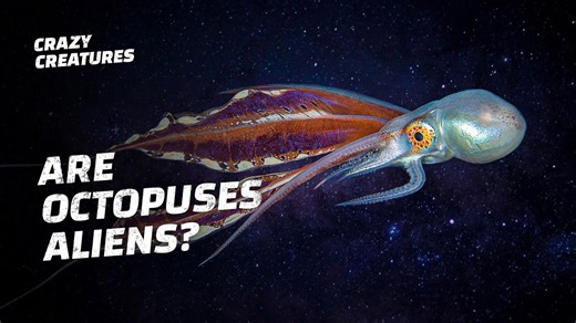 Science Can’t Explain It | Is the Octopus an Alien?
