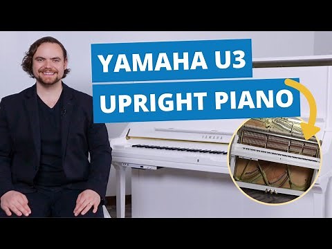 Yamaha U3 Acoustic Upright Piano Full Review & Playing Examples | Popplers Music