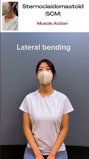 2. Sternocleidomastoid (SCM): Muscle Action