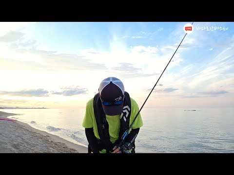 12.18 강릉의 아침을 여는 일출 낚시방송! 염전해변 고등어 상황