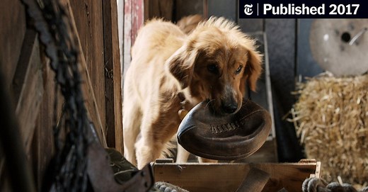 Review: ‘A Dog’s Purpose,’ With Many Lives and Many Clichés