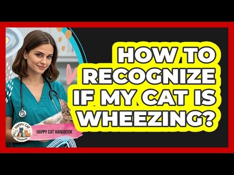 How To Recognize If My Cat Is Wheezing?