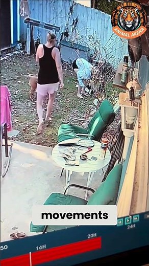 Dog’s Instinct Saves the Day!