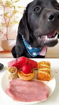 Top Dog Nutritionist Shares BEST Food for a HEALTHY and HAPPY Dog