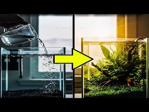 How to Set Up Your FIRST Fish Tank? Aquarium Setup Guide