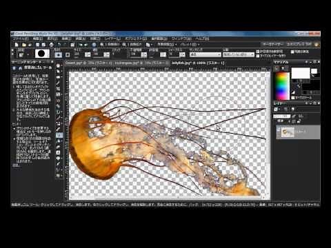 PaintShop Proでお手軽写真合成