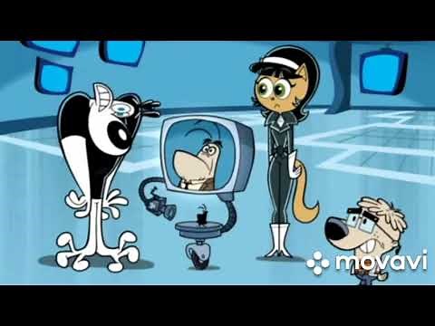 All Dudley puppy moments