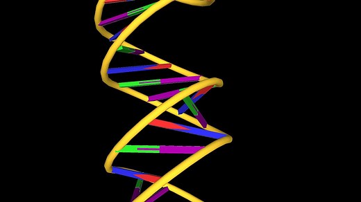How DNA's Double Helix Structure Was Discovered | Britannica