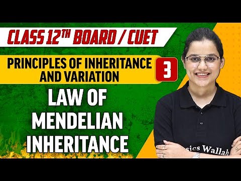 Principles of Inheritance And Variation 03 | Law of Mendelian Inheritance | Class 12th/CUET