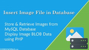 Store and Retrieve Image from MySQL Database using PHP - CodexWorld