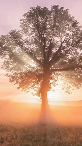 71K views · 2.4K reactions | July in the Peak District | Peaklass | Facebook