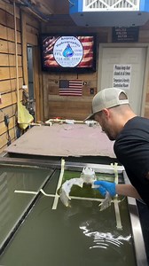 12K views · 286 reactions | Hydro dipping Euro mount in " We the People" #shorts #americanstyle #AmericanDream #Amazing #hunt #dip #diy #customersatisfaction | Angert's Hydrographics | Facebook