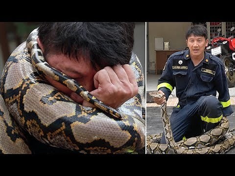 How To Escape From A Python Attack