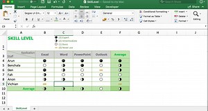 ตัวอย่างการสร้าง ตารางระดับความสามารถ (Skill Matrix) ด้วย Conditional Formatting | Excel NaNa