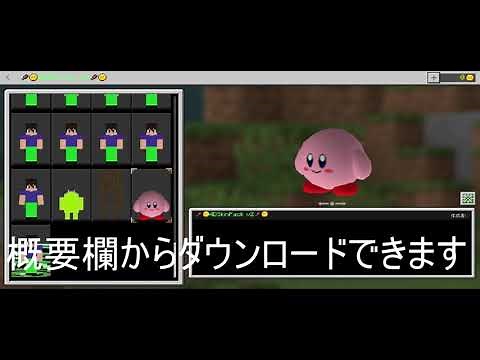 ✅自作の4D&5DSkin配布✅（v2）