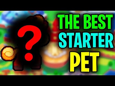 The BEST Prodigy Starter Pet (Prodigy Math Game)