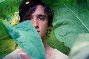 16 Best Italian Movies on Netflix in December 2024 | FluentU Italian Blog