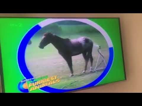 Planet’s Funniest Animals on ITV2