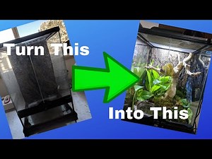 How to Build a Bio-active Enclosure for a Green Tree Python- Step by Step