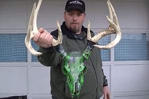 How to Dip a Deer Skull With Spray Paint and a Large Bucket