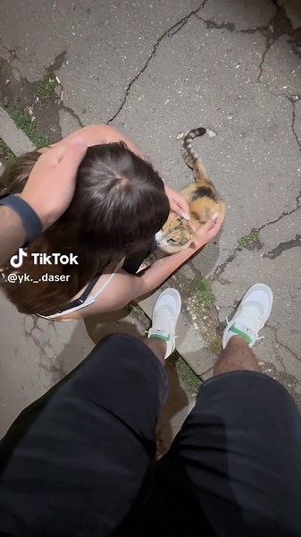 Understanding Cat Meowing Sounds and Behavior