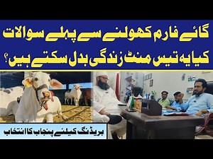 How To Start A Cow Breeding Farm (Setup Guide)