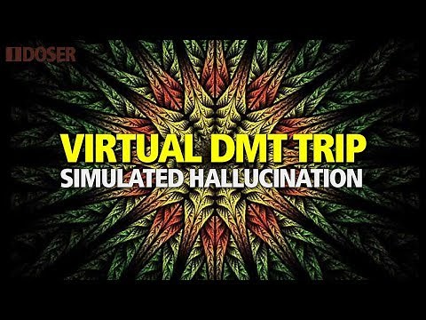 VIRTUAL DMT Powerful Hallucination Simulation