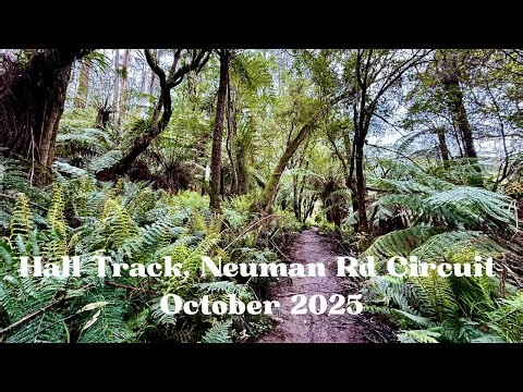 Hall Track, Neuman Road Circuit - October 2025