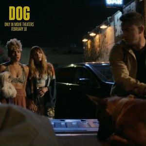 6.3K views · 1.3K reactions | More like four-legged FOE  #DogMovie starring Channing Tatum, coming to cinemas Feb 18 | Entertainment Film | Facebook