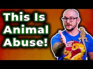 Animal abuse is Disgusting! How Does This Even Happen? | My Response to Slithers
