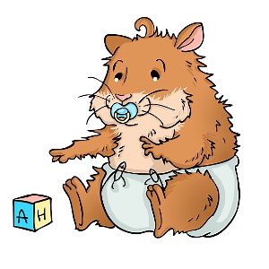 Baby Hamsters: Before and after birth | The Hamster House