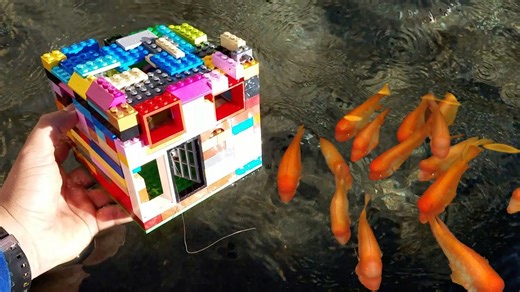 DIY LEGO Fish Trap Catches Colorful Wild Fish