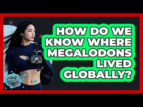 How Do We Know Where Megalodons Lived Globally? - The Marine Life Explorer